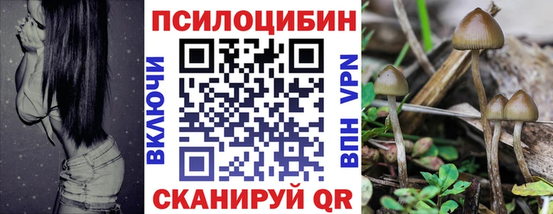 Купить где  Усинск  Псилоцибиновые грибы мухоморы 